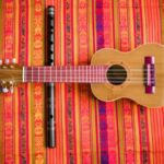 🎶🇦🇷 Descubre los increíbles instrumentos originarios de Argentina: tradición y cultura en cada nota