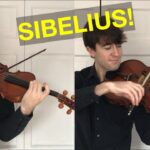 🎻 ¿Cuál es la diferencia entre el violín y la viola? ¡Descúbrelo en este post! 🎶