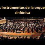 🎶 Descubre los nombres de los instrumentos de una orquesta sinfónica 🎻🎷