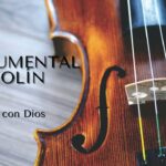 🎻 Descubre los mejores instrumentos de violín y despierta tu pasión musical 🎶