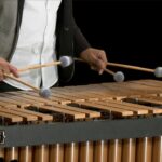 🎶 Descubre los mejores 🎹 instrumentos parecidos al xilófono: ¡Una melodía encantadora que te cautivará! 🎵