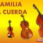 🎻 ¡Descubre los instrumentos similares al violín 🎶 y amplía tus horizontes musicales!